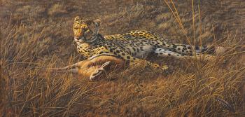 Mara dawn, cheetah and cisticola by 
																	Bryan Hanlon