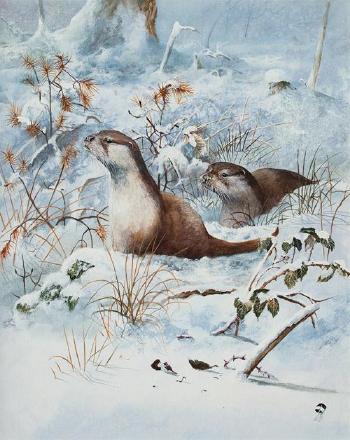 Otters in a wintry landscape by 
																	David Feather