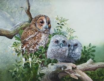 The owl family by 
																	David Feather