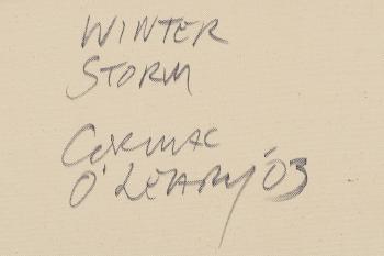 Winter storm by 
																			Cormac O'Leary