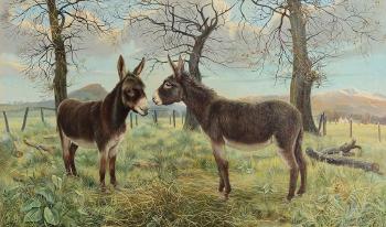 A study of two donkeys by 
																			Trevor Owen Makinson