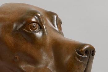 Head of a hound by 
																			Elizabeth O'Kane