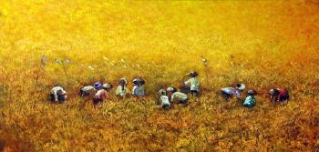 Harvesting by 
																	Nanag Lungonto