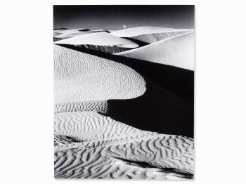 Oceano Dune by 
																			Robert Werling