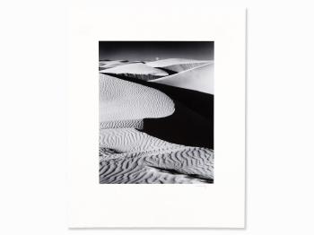 Oceano Dune by 
																			Robert Werling