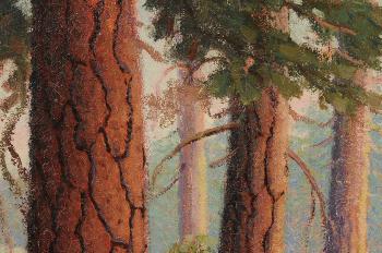 Woodland landscape with Ponderosa pines by 
																			Julian Itter