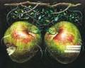 Adam and Eve's apples by 
																	 Park Young-Geun