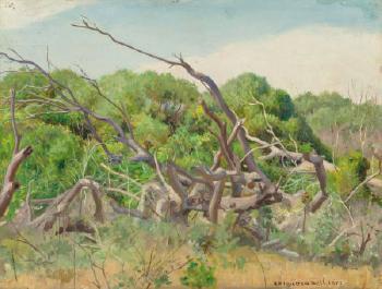 Landscape with Twisted Branches by 
																			Robert Hale Ives Gammell