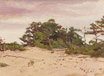 Cape Cod by 
																			Robert Hale Ives Gammell