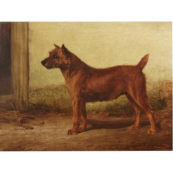 Irish Terrier by 
																	William Henry Hamilton Trood