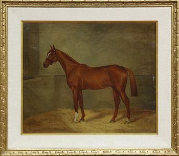 Thoroughbred in a stall by 
																			A E D G Stirling-Brown