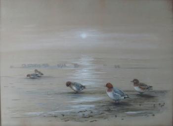 Red-Headed Ducks by the Waterside by 
																	Vincent Balfour-Browne