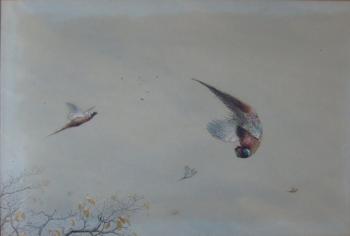 Pheasant Shoot by 
																	Vincent Balfour-Browne