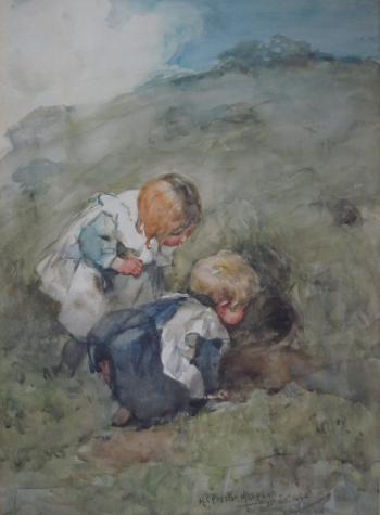 The Young Explorers by 
																	Hannah C Preston MacGoun