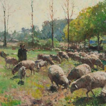 Sheep Flock by 
																			Fritz Klaiberg