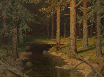 Spruce Forest by 
																			Valerian V Babadin