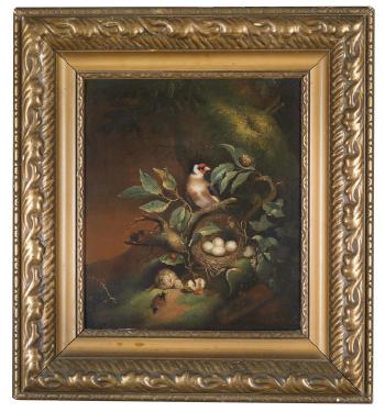 A ‘sous bois’ still life with chaffinch; and a ‘sous bois’ still life with a frog, a lizard and a butterfly by 
																			Franz Michael Siegmund von Purgau