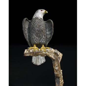 An Eagle by 
																			Luis Alberto Quispe Aparicio