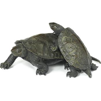Two Turtles by 
																	 Ryuki