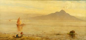 View of Mount Vesuvius by 
																			D Jerome Elwell