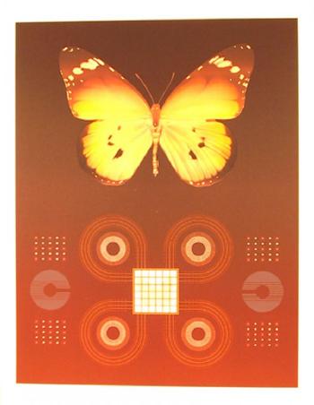 Butterfly matrix by 
																	David Haidle