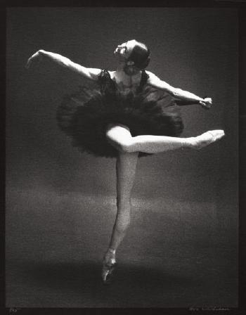 Ballerina by 
																			Max Waldman