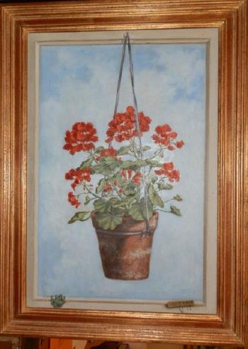 Pellargonium rouge en pot by 
																	Paulo Intini
