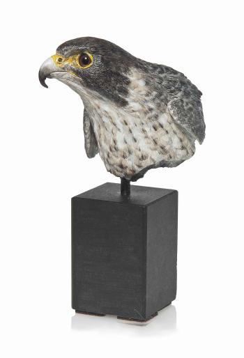 Peregrine falcon by 
																	Michele Vitaloni