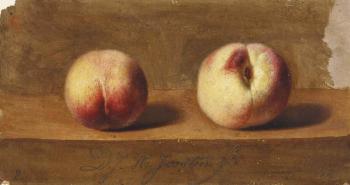 Two peaches on a ledge by 
																	Dirk Jan Hendrik Joosten