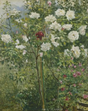 Rosenstauden in einem sommerlichen Garten by 
																	Paul Hansa