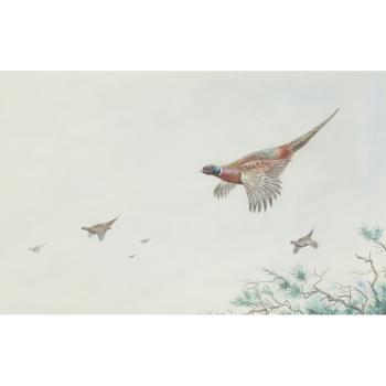 Pheasant in flight by 
																	Vincent Balfour-Browne