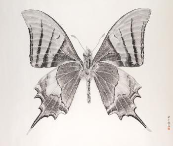 Butterfly by 
																	 Zhang Yi Rong