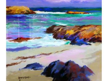 Iona shore, No.20 by 
																	Donald McIntyre