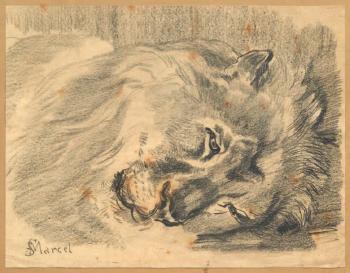 Tête de lion by 
																	Edme de Saint-Marcel