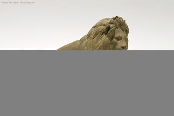 Lion by 
																	Charles van Oemberg