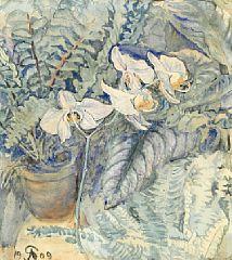 Orchid and ferns by 
																	Anna Louise Brigitte Syberg