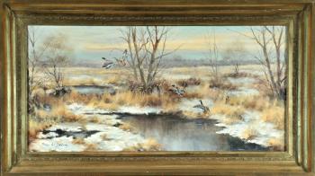 Wildenten im winterlichen Moor by 
																	Paul W Dahms