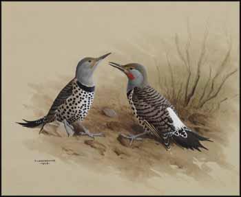 Red-Shafted Flicker by 
																	James Fenwick Lansdowne
