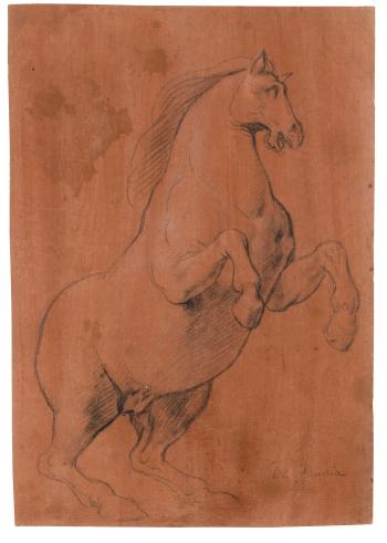 Study of a rearing horse by 
																	Lazzaro Tavarone