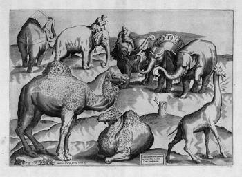 	Drei Blatt mit verschiedenen exotischen Tieren nach antiken Wandmalereien - Tre tavole di diversi animali pigliate da pittura antiche by 
																	Antonio Lafreri