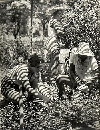 Kibbutz workers harvesting by 
																	Walter Zadek
