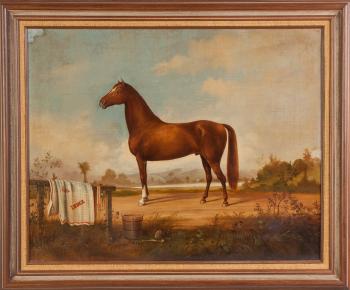 Portrait of the horse 'Index' by 
																			Robert W Hanington