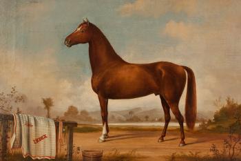 Portrait of the horse 'Index' by 
																			Robert W Hanington