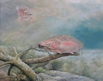 Trout by 
																	Merrilyn Jaquery