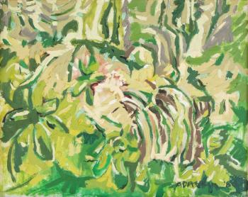 Undergrowth with ferns by 
																			Gordon Adaskin