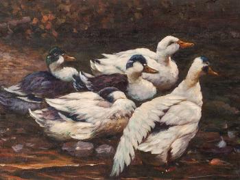 Ducks on the Pond by 
																			Adolf Lohmann