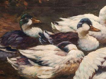 Ducks on the Pond by 
																			Adolf Lohmann