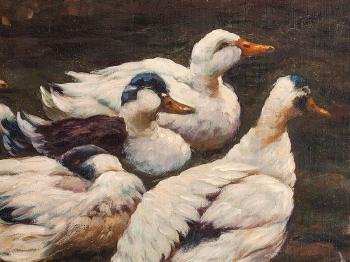 Ducks on the Pond by 
																			Adolf Lohmann