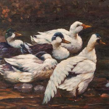 Ducks on the Pond by 
																			Adolf Lohmann