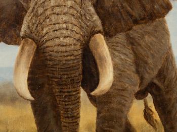 Elephant in The Savannah by 
																			George Majewicz